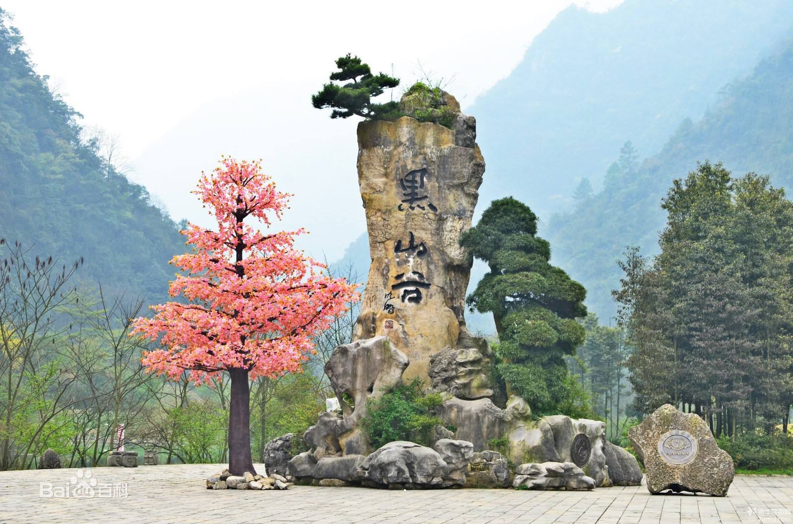 黑山谷景區(qū)，自然之美的獨特展現(xiàn)，黑山谷景區(qū)，自然之美的獨特展現(xiàn)