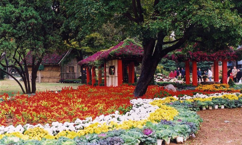 中山公園，歷史與自然的美好交織，中山公園，歷史與自然之美的交融勝地