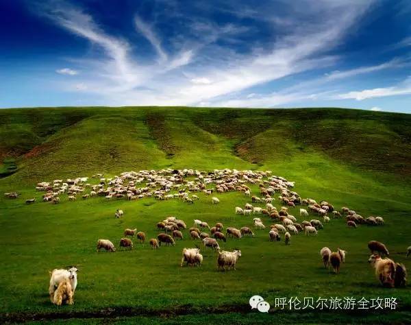 呼倫貝爾草原自由行旅游攻略，呼倫貝爾草原自由行全攻略，暢游草原之旅