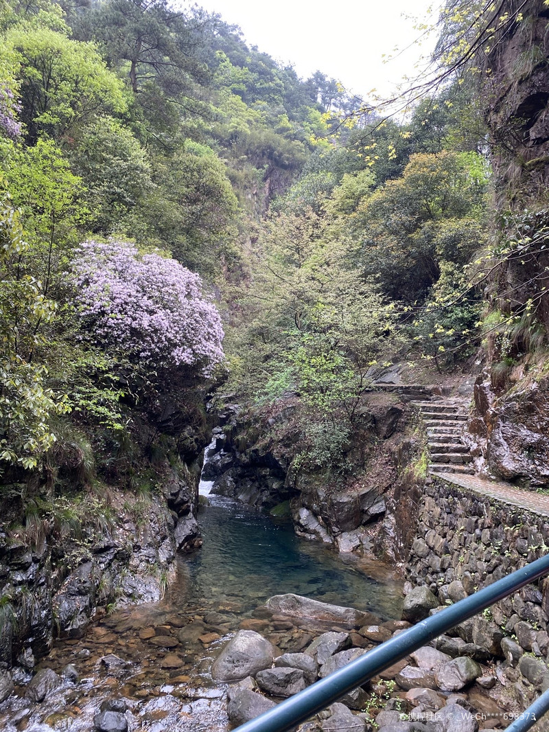 自然生態(tài)之旅