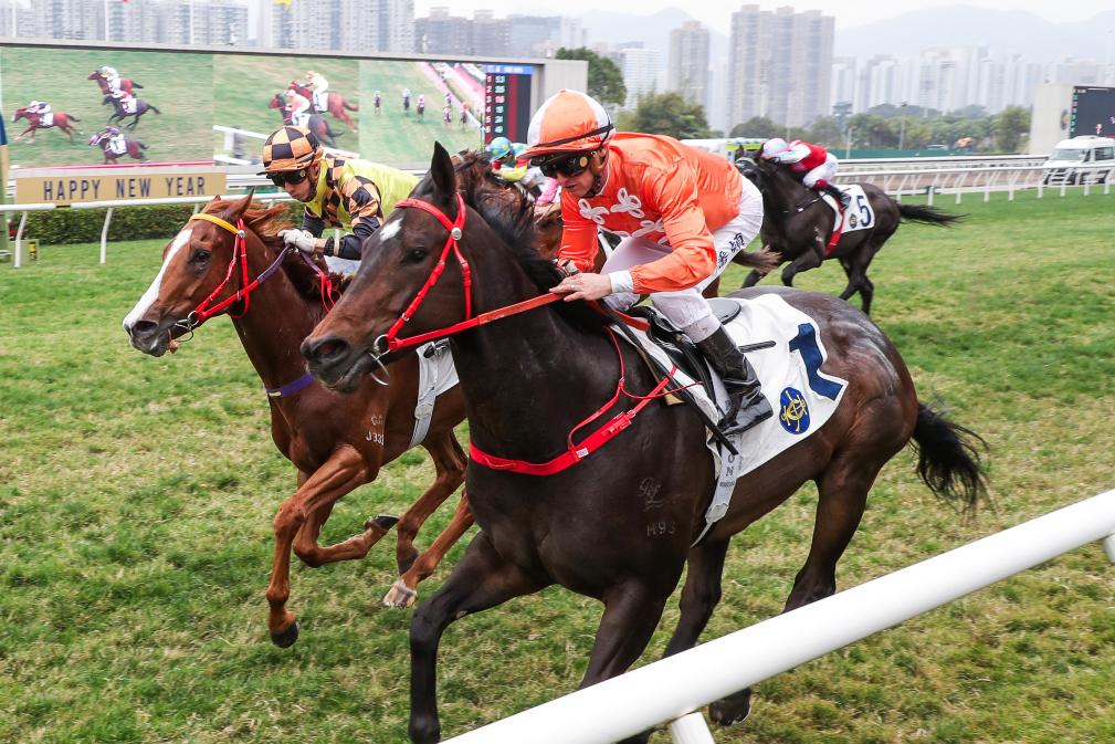 香港特馬盛宴，期待今晚2025年的精彩瞬間，香港特馬盛宴，精彩瞬間即將上演，期待今晚2025年之夜