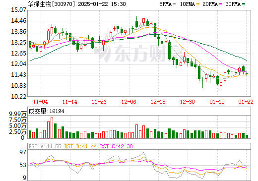 關(guān)于股票300970的深入解析，股票300970深度解析報(bào)告