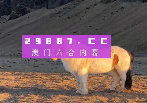 澳門彩開獎最快的一期，探索彩票背后的秘密，澳門彩票開獎探索，揭秘最新一期背后的秘密