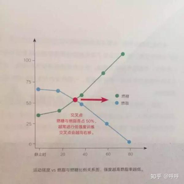 做哪些運(yùn)動(dòng)可以減肥，運(yùn)動(dòng)減肥，最有效的瘦身運(yùn)動(dòng)有哪些？