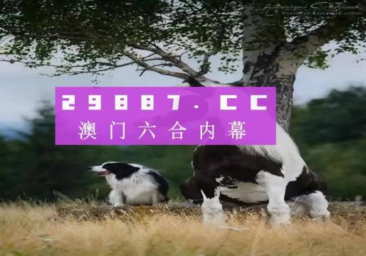 澳門最準(zhǔn)最快開獎(jiǎng)資料，探索彩票開獎(jiǎng)的奧秘，澳門彩票開獎(jiǎng)奧秘探索，最準(zhǔn)最快開獎(jiǎng)資料揭秘